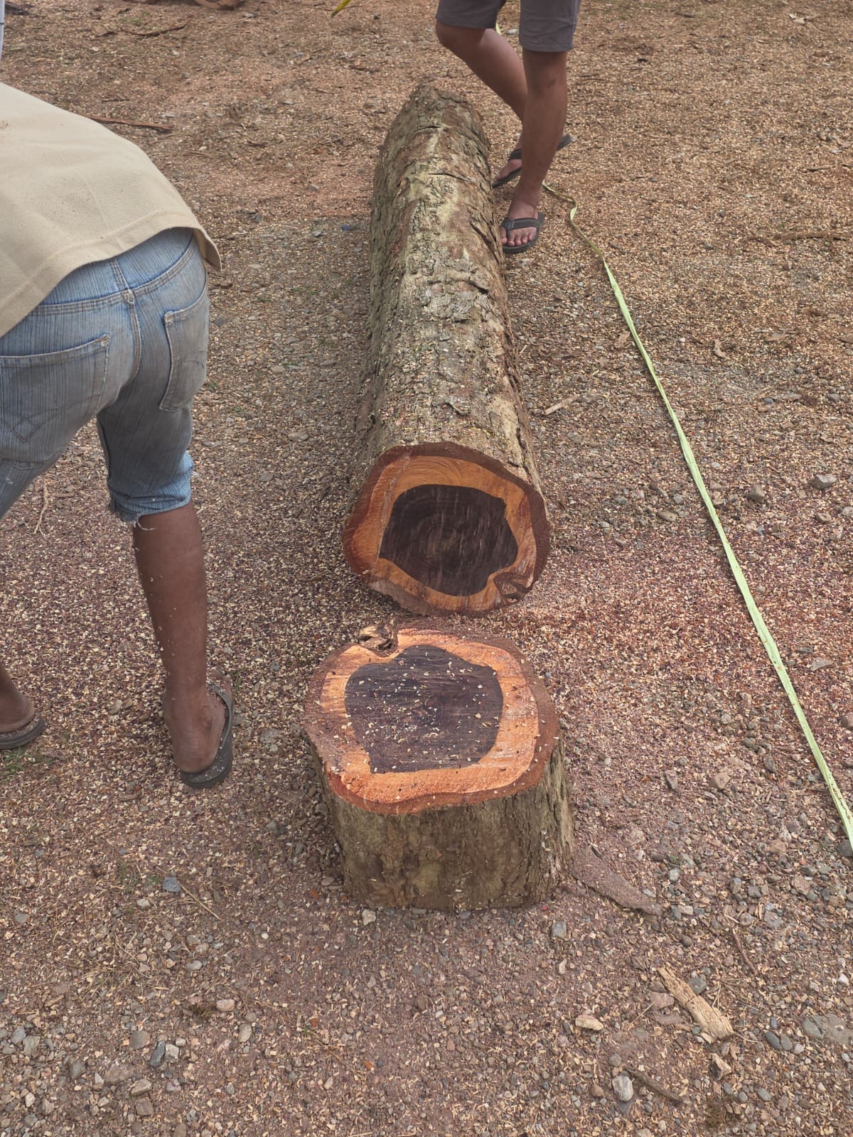 Konsultasi Produk Kayu